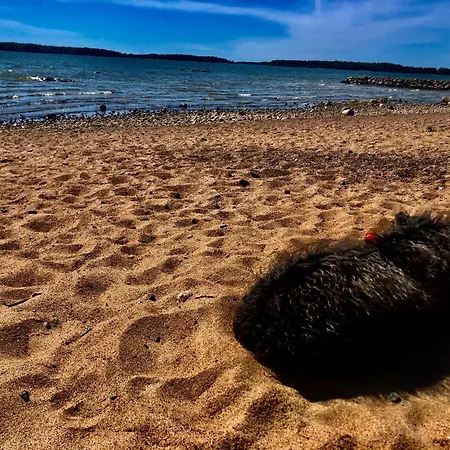 2room Kalasatama Apartment